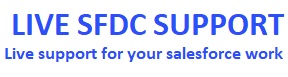 Live SFDC Support